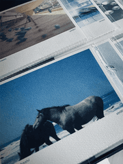 Re-Rite:음악이야기