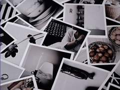 SEASON.2 흰곰 효과 D