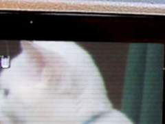 사랑해 마지않던 __에게,