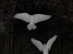 기한이 지나버린 감정은 어디로 가는가