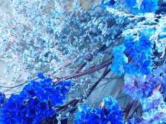 바람이 머물던 계절