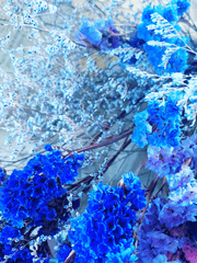 바람이 머물던 계절