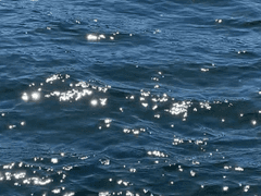 [류×잭] 바다의 행성 (2)