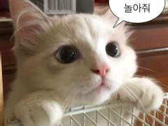 [NCT] 햇병아리 막내의 일기++