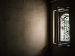 우리는 법에서 가능한 멀리 도망가야 하는 형편이다