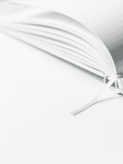 나의 작품관 (전연령)