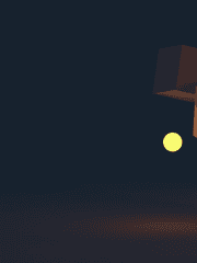 신이 사는 세상