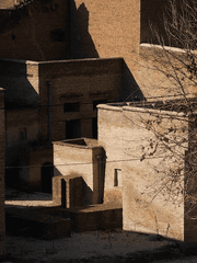 백작 후기 백업