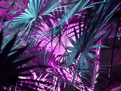 [ROTTMNT/거북이들] A Case of You - 보라의 경우