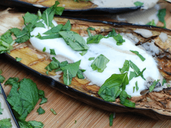 트윗 백업(23.6.16~6.14)