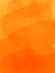 스웨이드 오렌지