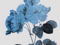 신원 미상 작자 미상