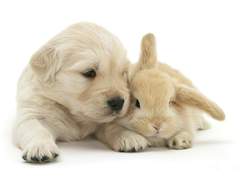 [백호열] 키스 연습 썰 백업