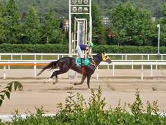 투혼의반석은 위너스맨을 갈망했다.