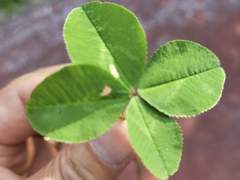 균형을 이루는 수평의 체력을 찾아서