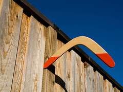 부메랑과 정대만의 상관관계