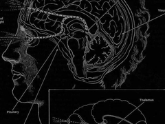 [브깜] 대륙횡단 플라츠카르타