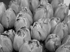 I don’t want to show you