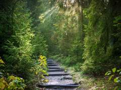 결국엔 처음과 같이.