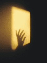 사람이 아닌 것