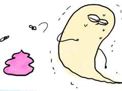 시골집 이야기2