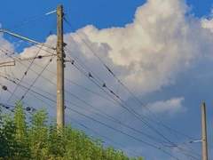 生稲 雪乃 / 3학년 / XX