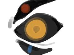 땅의 눈, 뤼테라 RITERRA