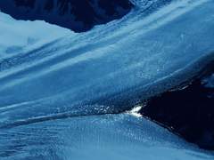 Profile. Thersii Di Arsen