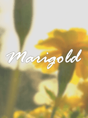 Marigold
