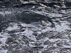 바다는 언제나 불꽃을 동경했다.