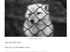 상승 반전은 질풍같이