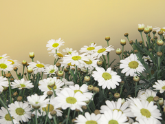 [윌샴윌] 지금이 우리의 최선이라고 믿어주자.