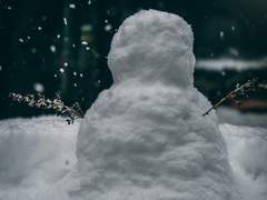 [준상] 같은 대학 & 동거 준상 IF (4)