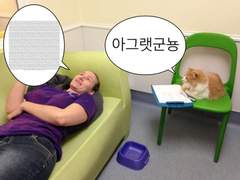 지민이의쌍수썰