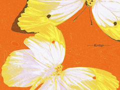 今天的我也在和昨天的你相见(下)