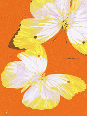 今天的我也在和昨天的你相见