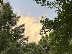 [조] 6.15 | 한 해의 절반을 보내며..