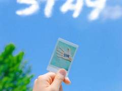 [세븐틴] 호시 - STAY