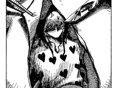 [로코라] 개구리 해부