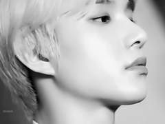 D급 가이드 생존기 5