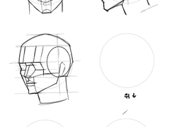 Day 4. 머리 두상 편