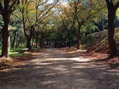 [비상(飛上) : prol.]과거제가 끝나고