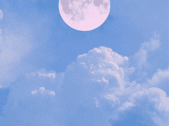 [망기무선]丹夏-人攀明月不可得(3)