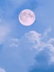 丹夏-人攀明月不可得[단하-인반명월불가득]