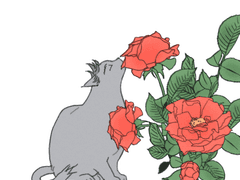 어떤 고백, 그 후