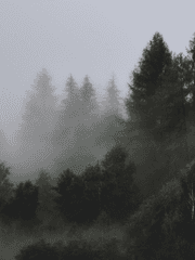 소다치유쿠 타타