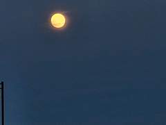 어느 밤하늘 아래 기다리고 있는 것은 외전 2편(完)