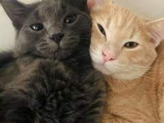 너에게 쓰는 편지 1