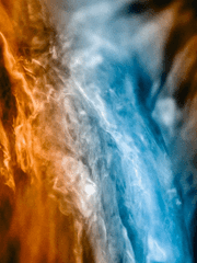 불사조와 주술사