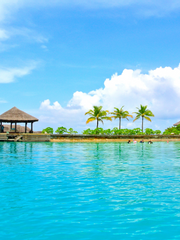 코드네임 아나스타샤